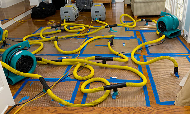 Professional Storm Water Damage Restoration technician working in Midway, TN